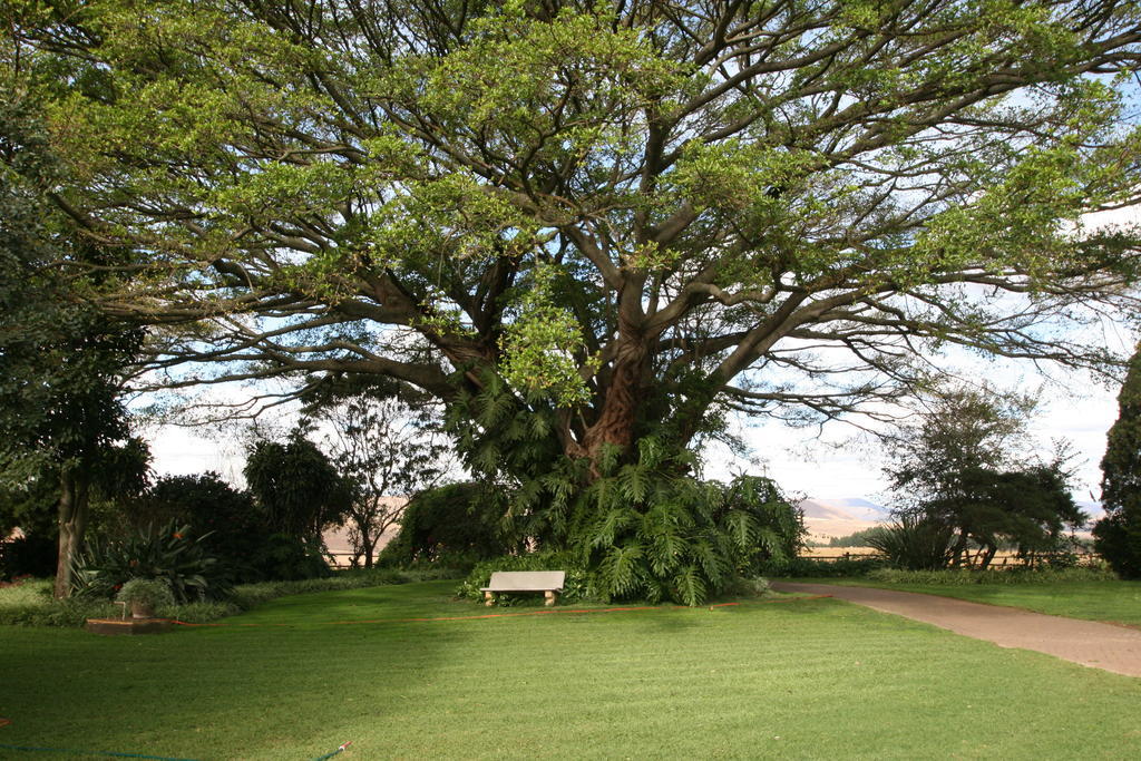 Dusk To Dawn Guesthouse Piet Retief Esterno foto